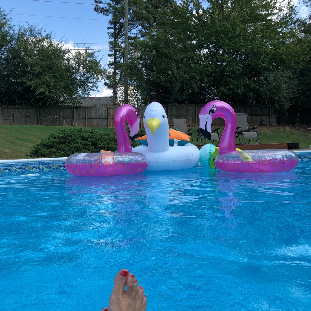 Meet your Posher, Sharon